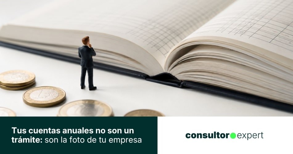 cuentas anuales